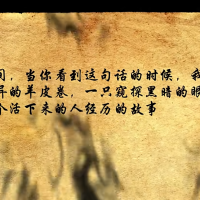 人皮纸