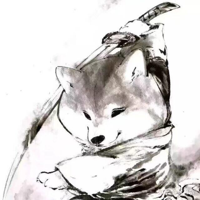 狗学长