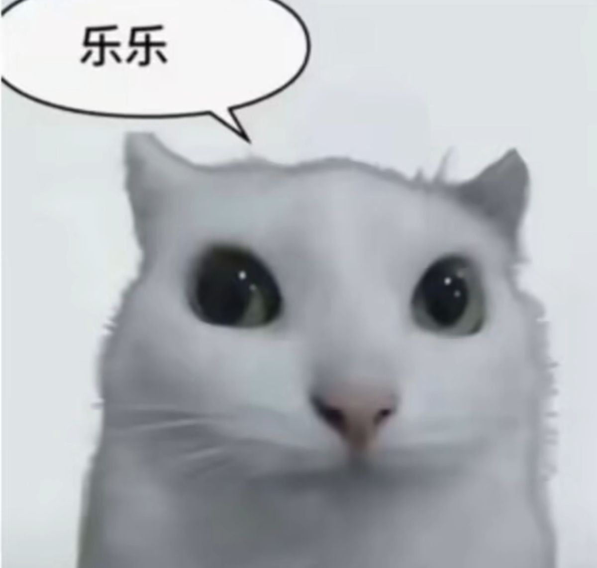 img_1777696326_08d32d37.png